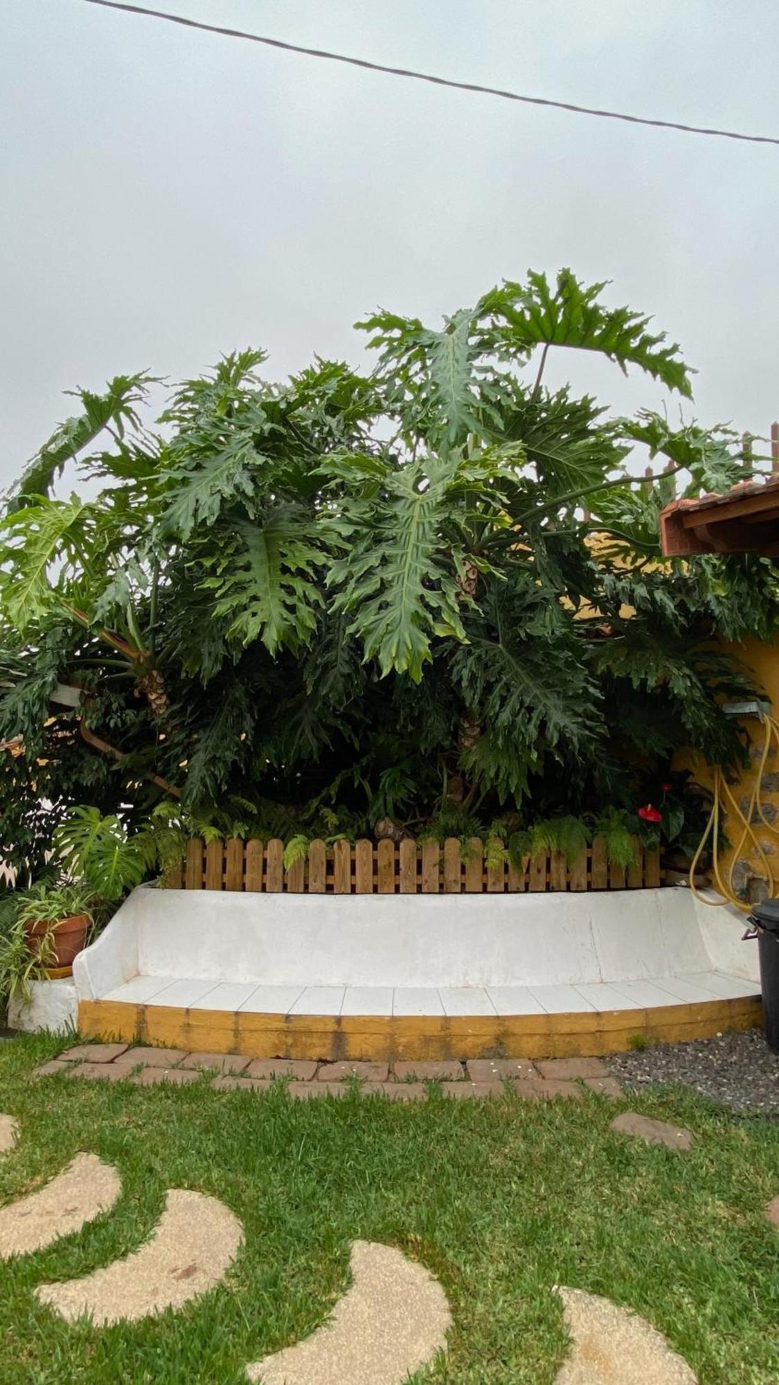 לוס ריאלחוס Casa Rural La Ganania מראה חיצוני תמונה